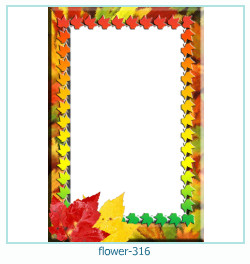 flower Photo frame 316