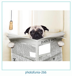 photofunia Photo frame 266